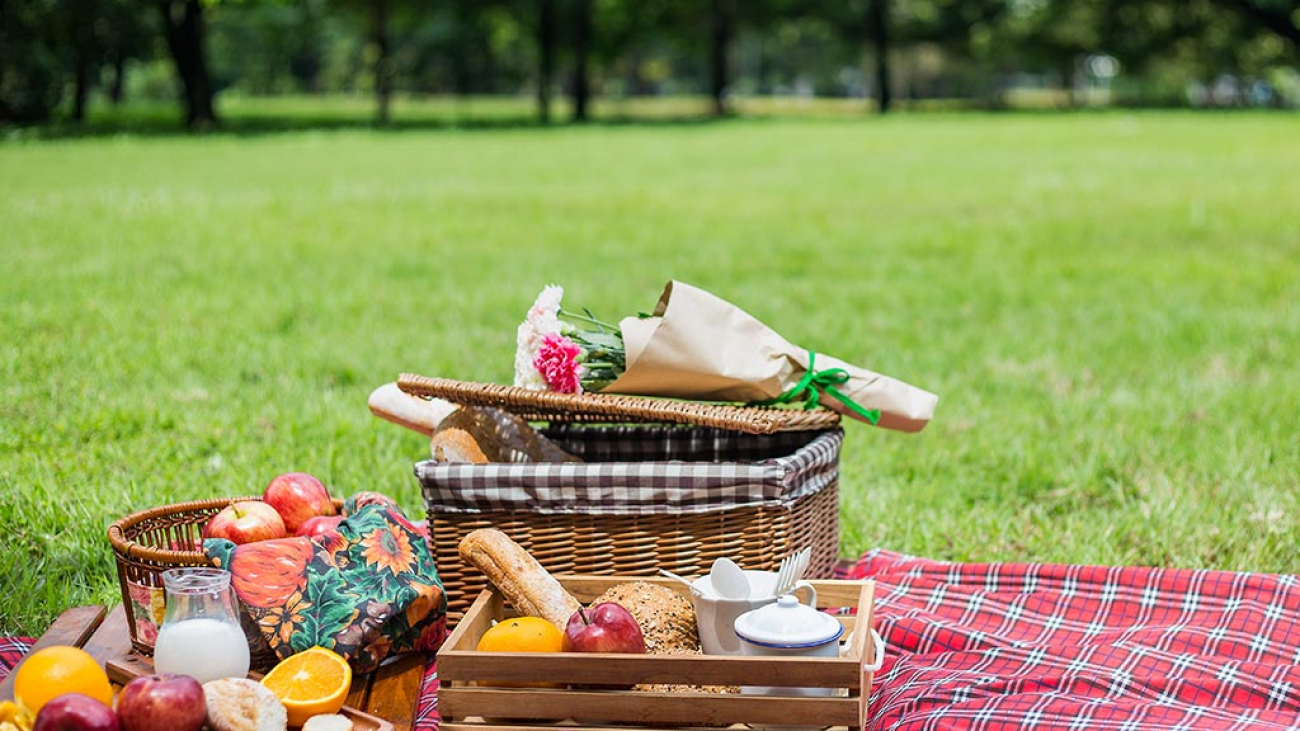 come-organizzare-un-picnic