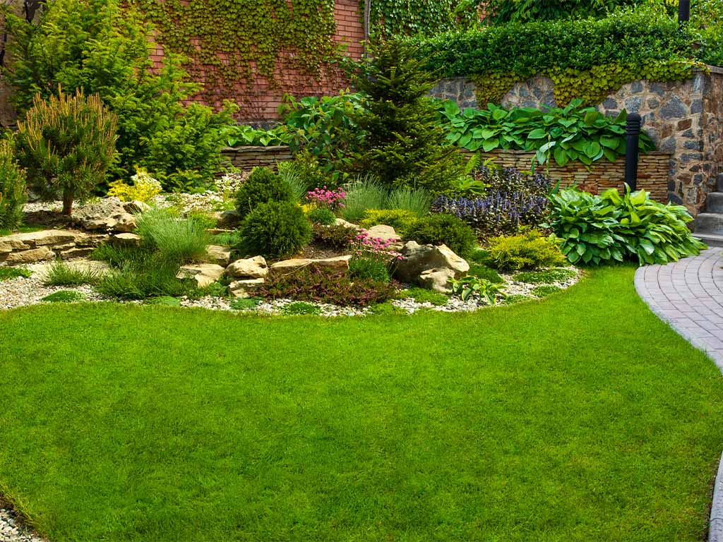 Puoi abbellire il giardino con piante colorate e profumate