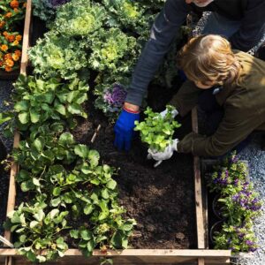 Avere un orto in giardino può dare grandi soddisfazioni